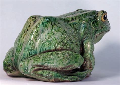 Cal Castis Frog に対する画像結果