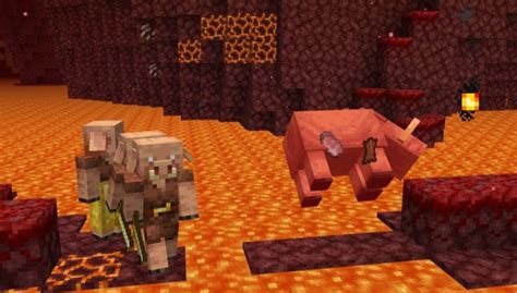 Image result for How to Tame Hoglin in Minecraft