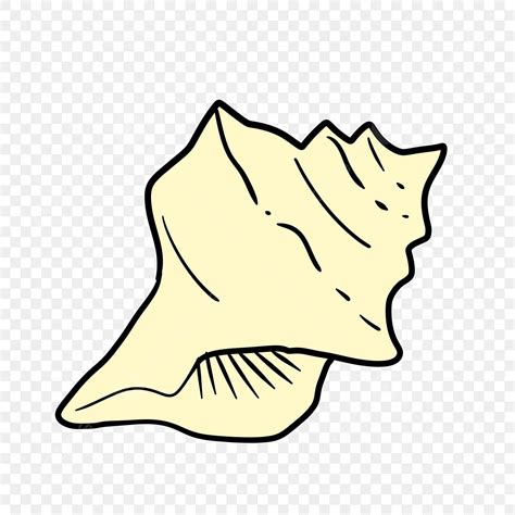 Conch Shell Drawing Lotf に対する画像結果
