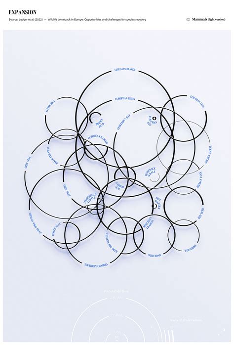 Image result for Expansion Map Visual