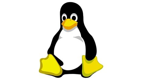 Ubuntu Linux Difference に対する画像結果