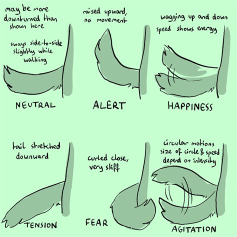 Image result for Programming Language for Tails