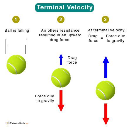 Afbeeldingsresultaten voor Acceleration Time Graph for Terminal Velocity