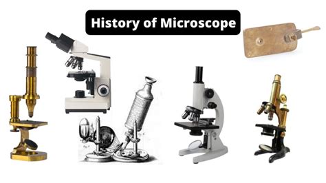 Image result for Very First Light Microscope