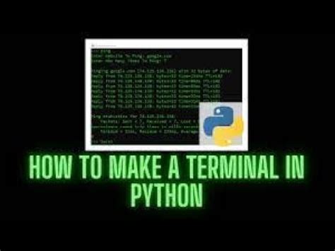 Python Terminal Program に対する画像結果