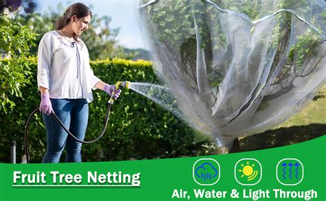 Image result for Put Bird Net Over Fruit Tree