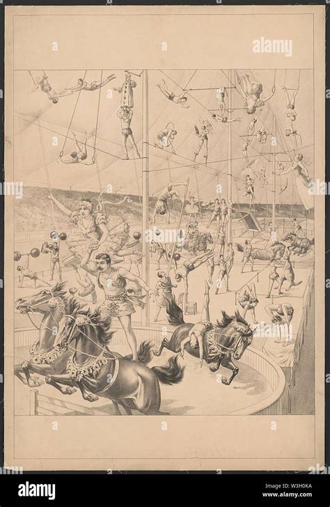 Toradh íomhá ar Acrobat Acts Ciricus