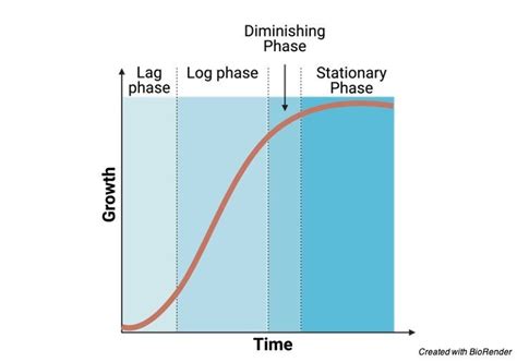 Image result for Generation Time Graph Micro Lag Log Phase