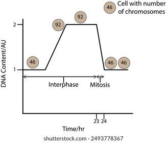 Image result for Call Cycle Graph