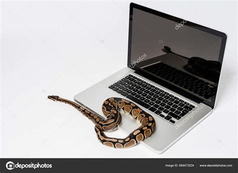 Python Playing with Sand-साठीचा प्रतिमा निकाल