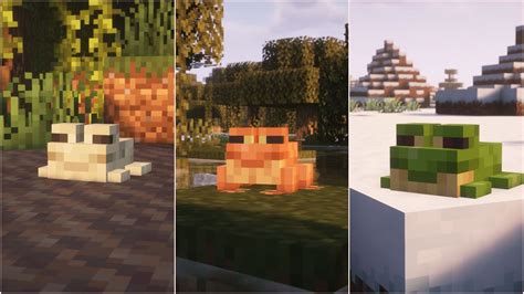 Image result for Minecraft Frog Types