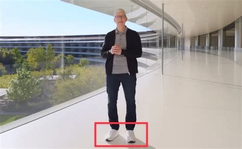 Image result for Tim Cook Rainbow
