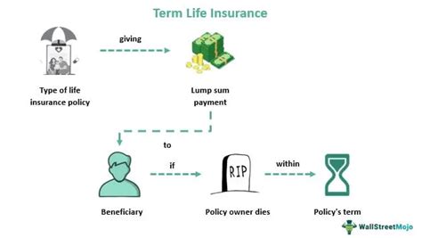 Image result for Term Life Insurance Cheap