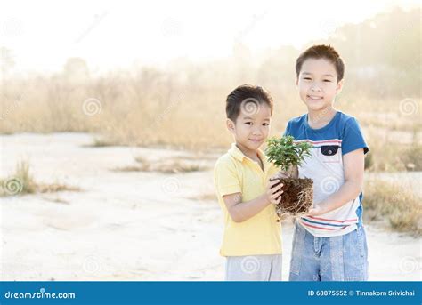 Image result for Plants Grab Boy's Arm