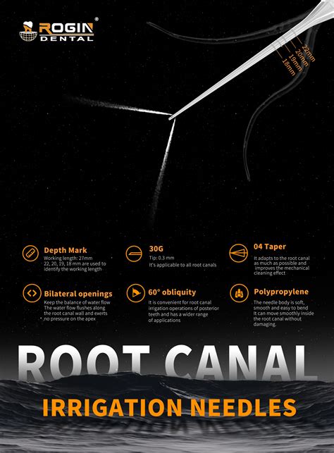 Image result for Tree Root Cannel