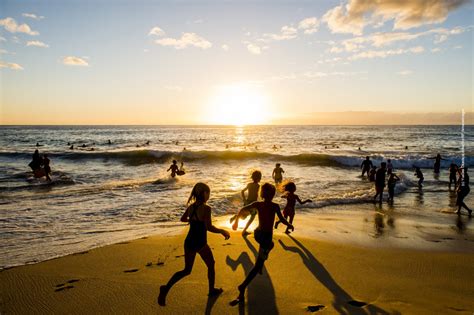 Developer 3D Model に対する画像結果