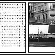 Image result for Sample Collection Positive/Negative