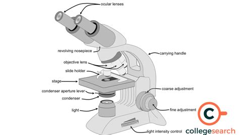 Image result for Blue Print Microscope Simple