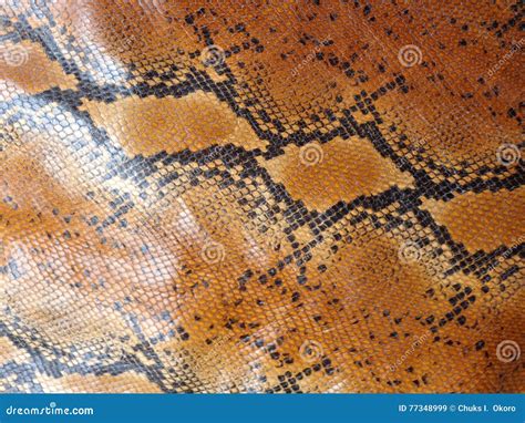 Toradh íomhá ar Matte Black Python Skin