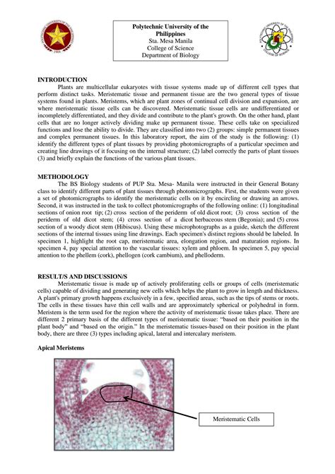 Image result for Plant Cell Lab Report Introduction