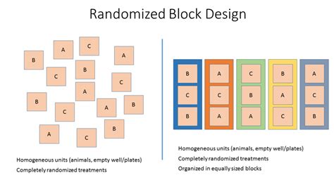 Toradh íomhá ar Graphs for Randomized Block Design