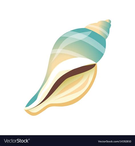 Image result for Blue Sea Shell Vector