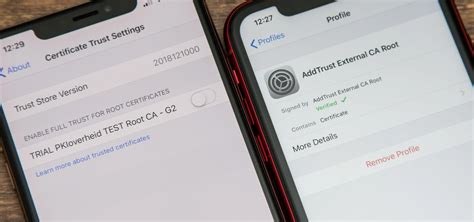 Image result for iOS 12 Beta Profile