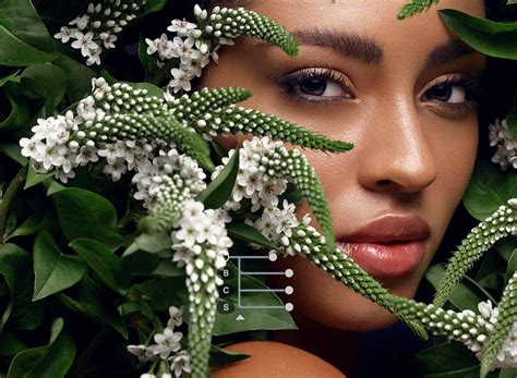 Image result for Nikon Picture Project Software