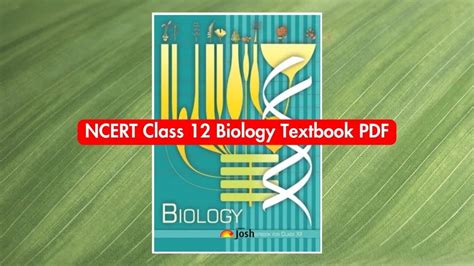 Image result for Class 12 Science Book PDF