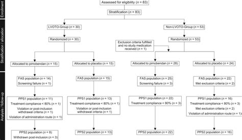 Stratified Randomization Method Flow Chart に対する画像結果