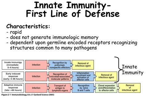 Immunity First Line of Defense に対する画像結果