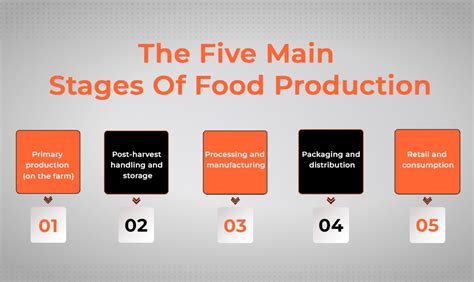 Image result for How Food Is Produced