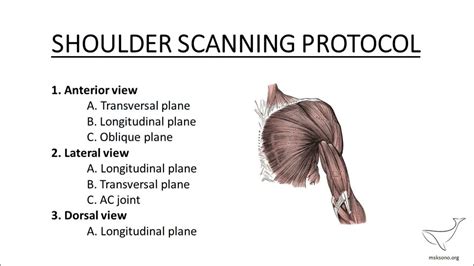 Image result for Scan Protocol
