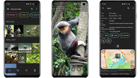 Image result for Android Gallery App Open Source