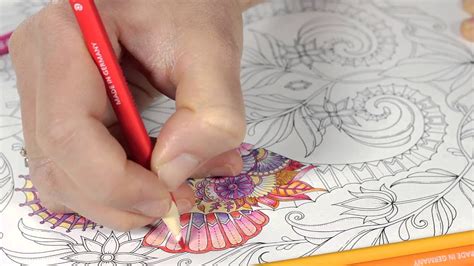 Image result for How to Colour A