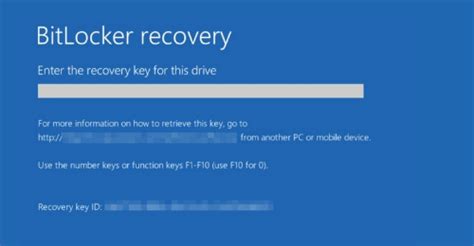 Image result for BitLocker Bios Boot Screen