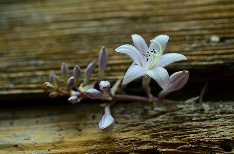 How to Find Middle of Triangle に対する画像結果