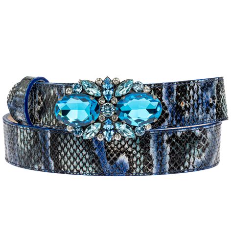 Image result for Python Blue Belt