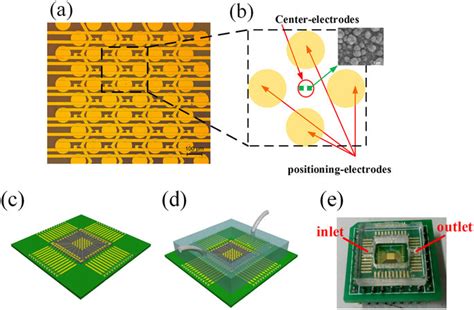 Electrode Array Device に対する画像結果