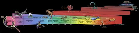Geologic Timeline Horizontal に対する画像結果