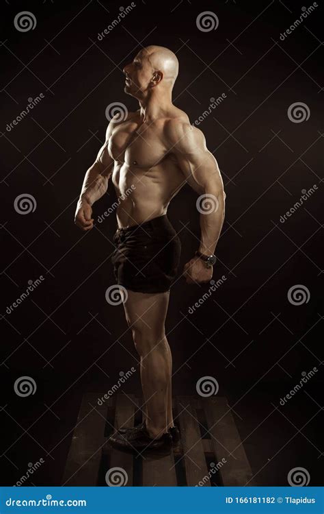 Image result for Bodybuilder Standing Side View Reference