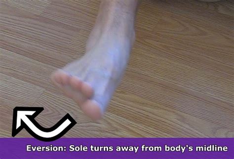 Image result for Inversion/Eversion Movement