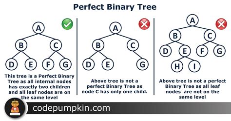 Binary Tree Functions in Java に対する画像結果