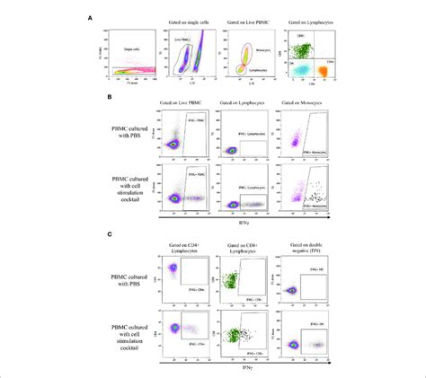 | Gate represents gating strategy for Flow cytometry. Analytic gating ...