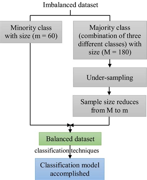 Image result for Binary Classification Image Dataset