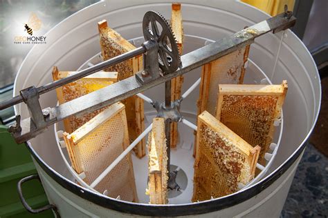 Image result for Extracting Honey Process