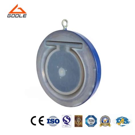 Image result for Spring Loaded Wafer Check Valve