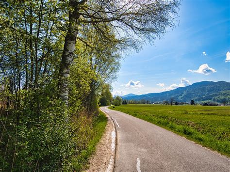 Image result for Java Path Road