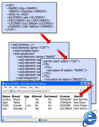 Image result for How to Locate Attachments in XML
