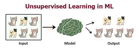 Image result for Types of Ml Algorithm Supervised Unsupervised Semi Dupervised Reinforcement